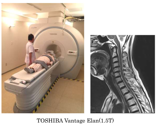 TOSHIBA Vantage Elan(1.5T)